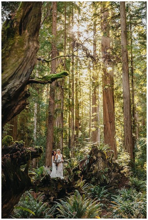 Enchanted Forest Elopement, California Redwoods Wedding, Lesbian Forest Elopement, Redwood National Park Elopement, Queer Forest Wedding, Forest Lesbian Wedding, Wlw Elopement, Redwood Wedding California, Fairy Wedding Theme