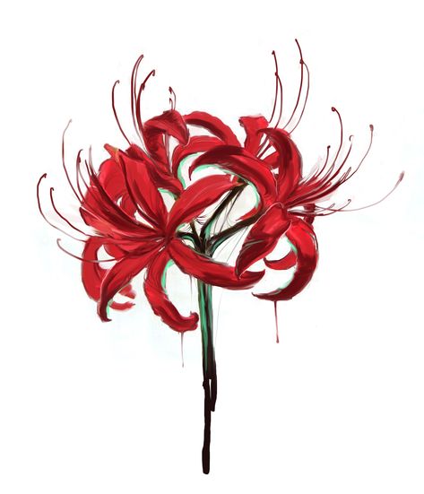 Red Japanese Flower, Simple Tattoo Ideas, Lilies Drawing, Tamamo No Mae, Red Spider Lily, Spider Lily, Red Spider, Seni Vintage, Red Lily