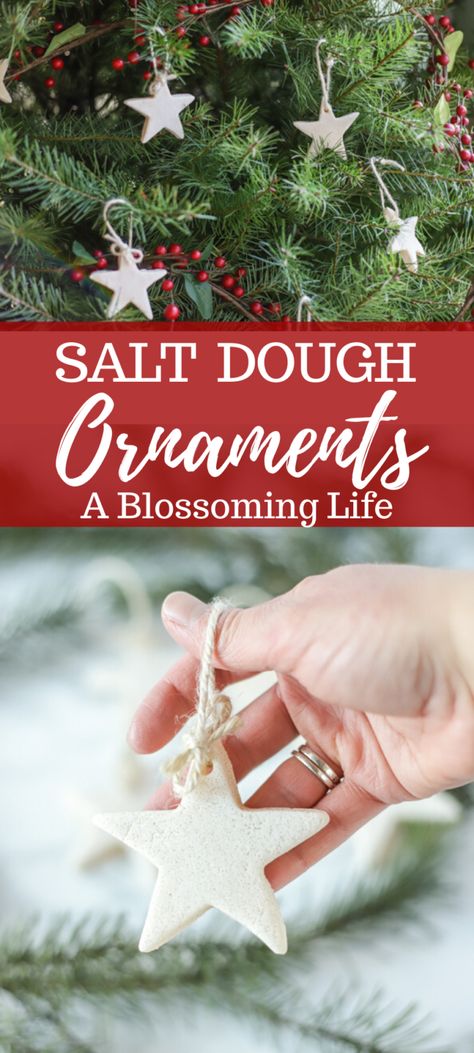 Dough Ornaments Recipe, Salt Dough Ornaments Recipe, Homemade Salt Dough, Ornaments Recipe, Homemade Christmas Ornaments Diy, Christmas Diy Kids, Salt Dough Ornaments, Diy Christmas Decor, Dough Ornaments