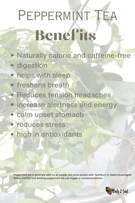 Benefits Of Peppermint Tea, Kettle Recipes, Wild Tea, Teas For Headaches, Peppermint Tea Benefits, Tea Before Bed, Help With Sleep, Non Toxic Living, Bulletin Journal