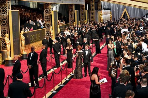 Oscars Aesthetic, Red Carpet Aesthetic, Actress Career, Hollywood Aesthetic, Academy Awards Red Carpet, Red Carpet Awards, My Future Job, Oscars Red Carpet, Hollywood Red Carpet