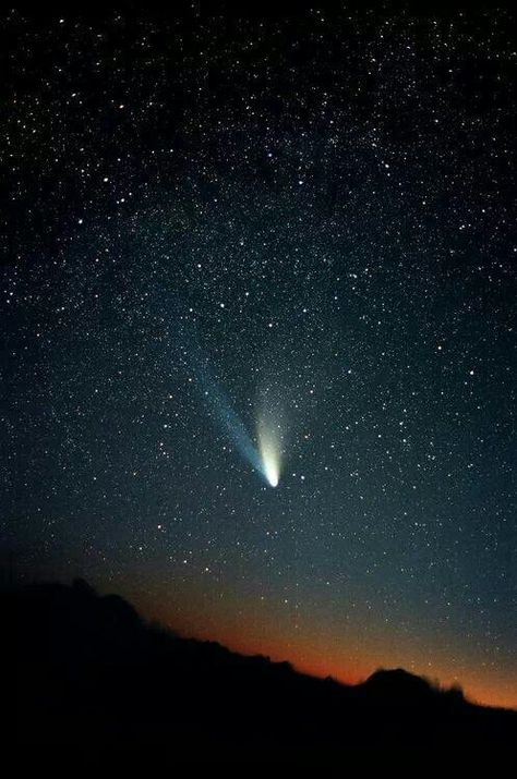 Comet1997 The Comet, Space Photography, Space Pictures, Evening Sky, Space Stars, To Infinity And Beyond, The Night Sky, Space And Astronomy, Deep Space