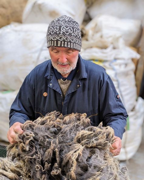 In the late 90's we began selling our Shetland Supreme Jumper Weight, a dedicated range of 9 completely undyed 100% Real Shetland Wool shades in the same weight as our 2ply Jumper Weight. Throughout the year, and mainly in the quieter months we spend time sorting the coloured fleece for our undyed ranges as they contain so many different colours - sometimes even within a fleece! Oliver is wearing an Islesburgh Toorie, the 2024 Shetland Wool Week pattern made in Supreme Jumper Weight shades ... Shetland Wool Week, Shetland Wool, Fair Isle Knitting, Late 90s, Different Colours, Fair Isle, The Year, Jumper, This Is Us