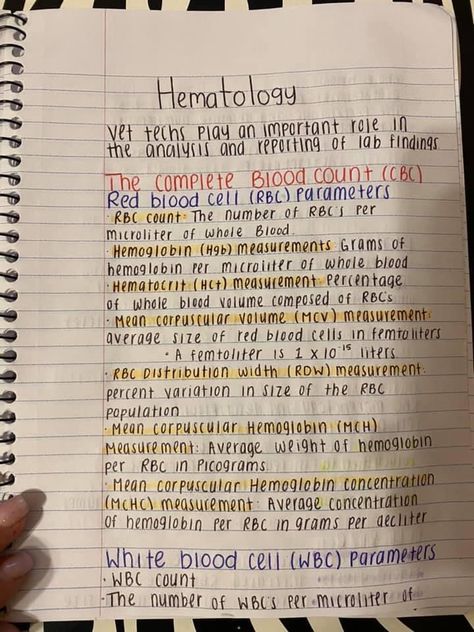 Livestock Veterinarian Notes, Vet Tech Cheat Sheet, Veterinarian Notes, Vet Tech Notes, Veterinary Notes, Animal Diagram, Veterinary Radiology, Veterinary Medicine Student, Vet School Motivation