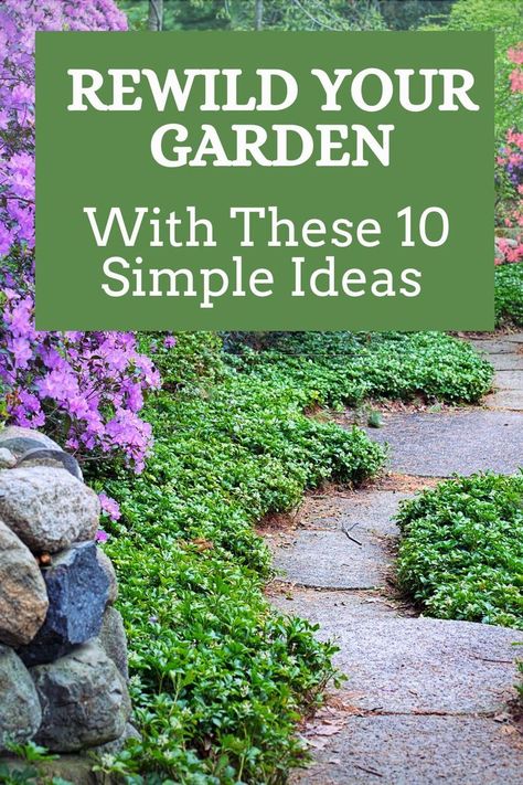 Check out these 10 brilliant ideas to rewild your garden, help your ecosystem, and go back to the roots with as little work as possible. Home Garden Ideas, Backyard Garden Diy, Backyard Layout, Wild Flower Meadow, Small Front Yard Landscaping, Vegetable Garden For Beginners, Meadow Garden, Growing Gardens, Garden Help