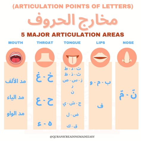 How To Read Quran, Learning Arabic For Beginners, Tafsir Coran, Savvy Quotes, Islam Lesson, Quran Tafseer, Islamic Kids Activities, Tajweed Quran, Learn Arabic Online