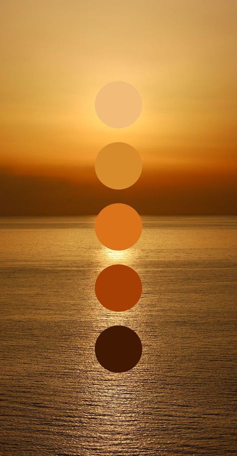 Color Branding, Sunset Color Palette, Sunrise Colors, Color Design Inspiration, Moodboard Inspiration, Color Schemes Colour Palettes, Color Drawing, Nature Color Palette, Brand Color Palette