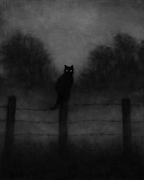 Nyctophobia Art, Damian Core, Walpapers Cute, Cat Dark, Creepy Cat, Söt Katt, Charcoal Art, A Black Cat, Gothic Aesthetic