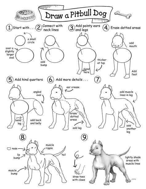 How to Draw Cool Stuff: How to Draw a Pitbull. How To Draw A Pitbull, Pit Bull Tattoo Ideas, Drawing Pitbull, Pit Bull Drawing, Sketches Cartoon, Pitbull Drawing, Dog Drawing Tutorial, Sketch Tutorial, Pitbull Art