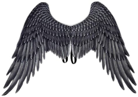 Black Wings Costume, 3d Angel Wings, Angel Wings Halloween, Angel Wings Cosplay, Halloween Wings, Angel Wings Costume, Cosplay Wings, Adult Fancy Dress, Black Angel Wings