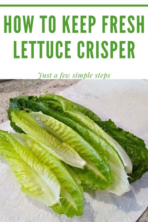 Keep Veggies Fresh Longer, Storing Fresh Vegetables In Mason Jars, How To Keep Lettuce Crisp, Keeping Romaine Lettuce Fresh, How To Keep Romaine Lettuce Fresh Longer, Best Way To Store Lettuce, How To Preserve Lettuce In The Fridge, How To Make Lettuce Last Longer, Keep Lettuce Fresh Longer How To Store