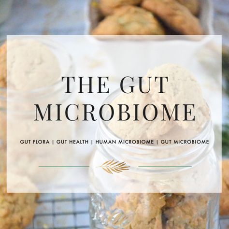 Micro Biome, Fresh Dinner Ideas, Microbiome Diet, Longevity Recipes, Healthy Gut Recipes, Gut Healing Recipes, Gut Flora, Healthy Apple, Healthy Bites