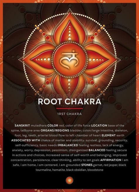 ROOT CHAKRA SYMBOL 1. Chakra, Muladhara, Banner, Poster, Cards, Infographic with description, features and affirmations. This powerful chakra symbols poster/ royalty free illustration Root Chakra Symbol, Star Chakra, Regular Polygon, Platonic Solids, Mini Altar, Pictures Of Shiva, Chakra Symbols, Healing Vibes, Yoga Studios