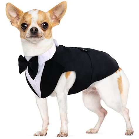 Small Dog Bowtie Tuxedo Suit Pet Costume Set, Puppy Cat Formal Shirt with Adjustable Bow Tie Wedding Party Photo Shot Clothes Chihuahua Halloween Costumes, Dogs Wedding, Puppy Wedding, Dog Wedding Outfits, Formal Dog, Bow Tie Suit, Dog Tuxedo, Formal Tuxedo, Dog Suit