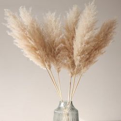 Interior & decor inspiration to style your dreamy home.Organizing tips and storage solutions to simplify and enjoy your cozy place. Rama Seca, Pampas Grass Bouquet, Dried Pampas, Flower Farmer, Pampas Gras, Dark Corners, Dried Flower Bouquet, Cozy Place, Pampas Grass