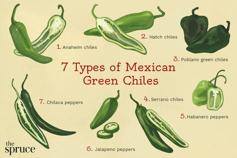 illustration depicting types of mexican green chiles Types Of Green, Vegetable Chili, Chile Recipes, Canned Green Chilies, Green Chili Peppers, Hatch Green Chile, Hot Pepper Seeds, Green Chiles, Habanero Peppers