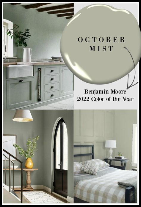 Come discover the paint color trends you'll likely see emerging in the 2020s as well as photos with designer-picked wall colors to try. Illusive Green Vs Evergreen Fog, Wallpaper And Paint Combination Bathroom, Serene Paint Colors, Misted Green Benjamin Moore, October Mist Benjamin Moore Kitchen, Benjamin Moore Flora, Bathroom Colors For 2024, October Mist Benjamin Moore, October Mist