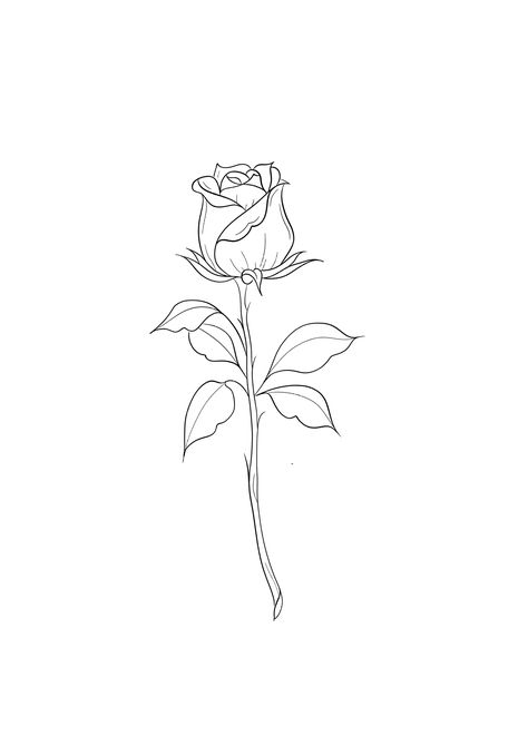 Simple Rose Outline Tattoo, Fineline Rose Tattoo Design, 3 Roses Drawing, Small Rose Tattoo Simple, Line Drawing Rose, Realistic Rose Drawing, Rose Outline Tattoo, Minimalistic Tattoo Ideas, Rose Tattoo On Back