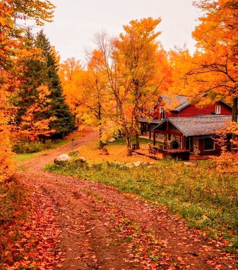 Autumn Scenes, Autumn Scenery, Red House, Cabin In The Woods, Fall Pictures, Best Seasons, Favorite Season, Autumn Cozy, Autumn Aesthetic