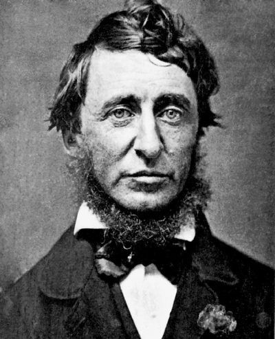 Calling Today's Transcendentalists: There's A Map Of Thoreau's Concord | WBUR News Henry David Thoreau Quotes, Walden Pond, Thoreau Quotes, Civil Disobedience, Natural Man, Walt Whitman, Henry David Thoreau, Live In The Present, Ralph Waldo Emerson