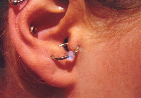 tragus to anti tragus orbital Orbital Piercing, Anti Tragus Piercing, Anti Tragus, Tragus Piercing Jewelry, Second Piercing, Ear Parts, Types Of Piercings, Tragus Piercing, Tragus Piercings