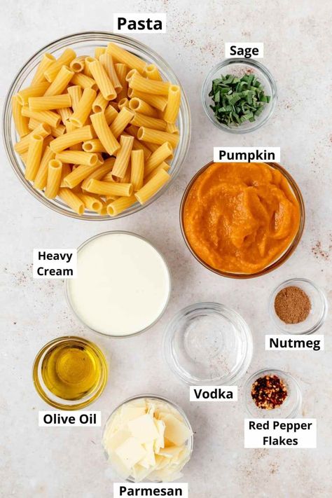 Creamy Pumpkin Vodka Sauce Recipe ~ Barley & Sage Pumpkin Flavored Desserts, Vodka Sauce Recipe, Pumpkin Pasta Sauce, Savory Pumpkin Recipes, Pumpkin Sauce, Pumpkin Pasta, Vodka Sauce, Fall Flavors, Sauce Recipe