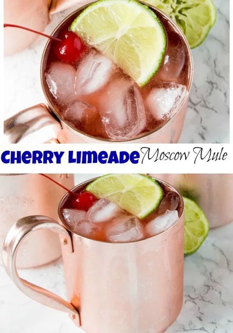 Outdoor Summer Hosting Ideas, Lake Drinks, Limeade Drinks, Easy To Make Cocktails, Best Summer Cocktails, Moscow Mules, Easy Summer Cocktails, Moscow Mule Recipe, Tea Health