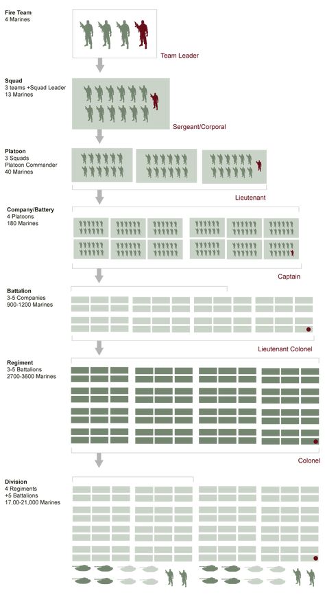 US Military Structure Chart | Army Rank Structure | VetFriends.com Organisation, Small Unit Tactics, Marine Corps Rank Structure, Army Formation, Army Structure, Army Divisions, Army Ranks, Military Tactics, Military Ranks