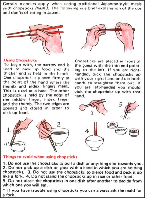 Japanese Manners, Bartender 101, Eating Etiquette, Dinning Etiquette, How To Use Chopsticks, Japanese Etiquette, Manners And Etiquette, Onsen Ryokan, Using Chopsticks