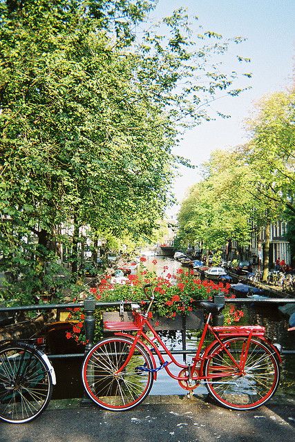 Happiness in the form of a Red Bike & Flowers Holland Bike, Bike Flowers, Red Bike, Bicycle Shorts, Mountain Bicycle, Bike Trips, Electric Motorcycle, Cycling Equipment, Cycling Outfit