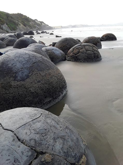 Moeraki Boulders , New Zealand Moeraki Boulders, Bouldering, New Zealand, Places To Visit, Natural Landmarks, Water, Travel, Nature