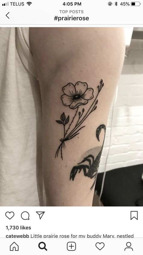 Prairie rose tattoo Wild Prairie Rose Tattoo, Prairie Rose Tattoo, Prairie Tattoo, Primrose Tattoo, Wild Prairie Rose, Flower Tats, Wild Rose Tattoo, State Tattoos, Flower Tat