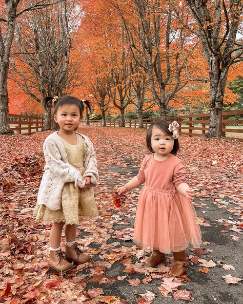 Fall Family Photos at Rockwood Farm | Just A Tina Bit Fall Family Photos With Toddler, Fall Mini Shoot, Sweater Dress Boots, Toddler Fall Outfits Girl, Girl Fall Outfits, Romantic Series, Tree Lined Driveway, Toddler Girl Fall, Fall Family Photo Outfits