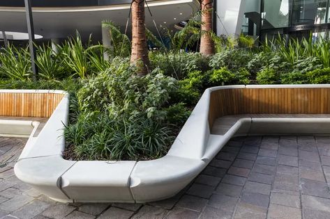 Riverside Centre, Brisbane: Reviving a Seidler icon | Landscape Australia Landscape Australia, Street Landscape, Tree Planters, Urban Landscape Design, Seating Ideas, Concrete Bench, Outdoor Park, Public Seating, Landscape Elements