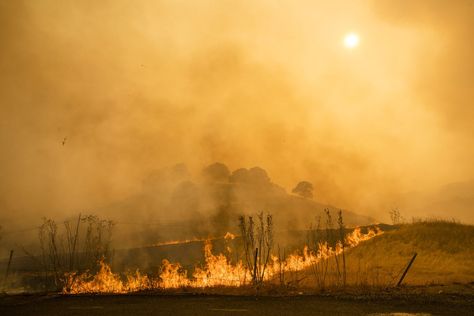 The annual World Meteorological Organization (WMO) report, published last month, observed a long-term trend of rising temperatures and increasing extreme weather events that make the climate crisis impossible to ignore or deny. California Wildfires, Healthy Changes, Emergency Plan, Climate Crisis, The Future Is Now, Emergency Prepping, Forest Fire, Extreme Weather, What To Pack