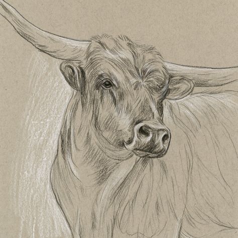 This is a flat print of the original artwork and is not embellished. Size: 51cm H x 51cm W x 3.8cm D Croquis, Longhorn Sketch, Black And White Sketches, Canvas Home, Great Big Canvas, Stretched Canvas Prints, Wall Hooks, Online Art Gallery, Canvas Print Wall