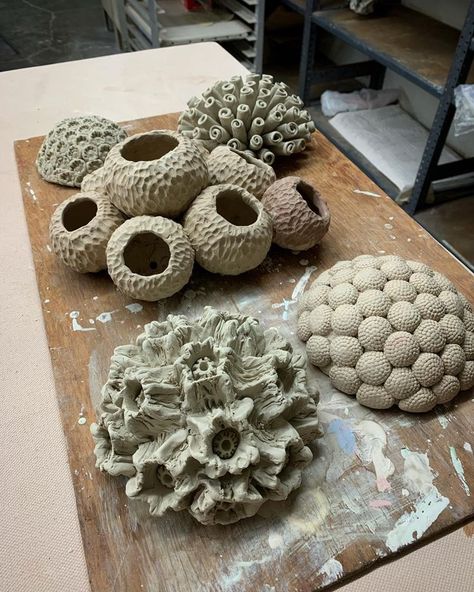 Table Top Sculpture, Deep Clay Art, Coral Pottery Ideas, Natural Form Sculpture, Pottery Coral Reef, Natural Forms Sculpture, Sea Inspired Pottery, Ceramic Nature Sculpture, Coral Ceramic Art