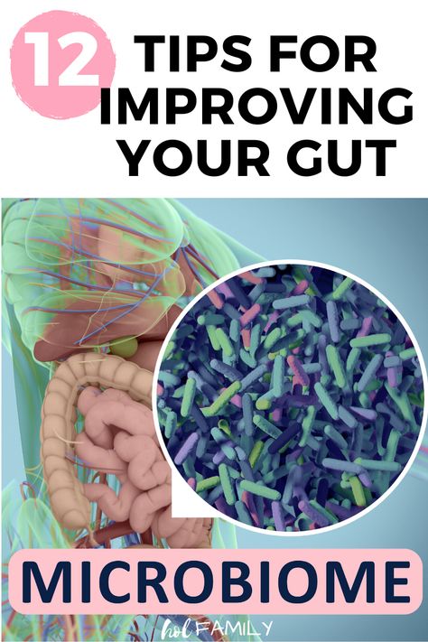 Leaky Gut Symptoms, Microbiome Diet, Leaky Gut Diet, Healthy Gut Recipes, Heal Leaky Gut, Healing Diet, Gut Health Diet, Gut Brain, Improve Gut Health