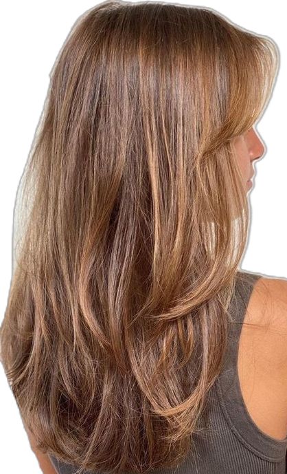 Autumnal Hair Brunette, Golden Carmel Hair, Honey Highlights On Brown Hair Curly, Honey Golden Brown Hair, Golden Brown Hair Honey Balayage, Golden Honey Hair, Golden Brown Hair With Highlights, Brown Honey Hair, Golden Honey Balayage