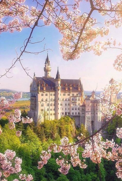 Neuschwanstein Castle in spring, Bavaria, Germany Beaux Arts Architecture, Castle Neuschwanstein, Germany Trip, Castle Germany, Germany Photography, Germany Castles, Neuschwanstein Castle, Chateau France, Voyage Europe