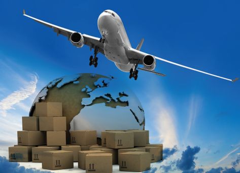 When we think of air freight, we consider goods such as food, plants, FMCG products etc. – all of which have less shelf life or need an urgent delivery. #AirFreight #Agility Cathay Pacific Airlines, China Airlines, Air Freight, Cargo Services, Passenger Aircraft, Cathay Pacific, Freight Forwarder, Ocean Freight, Air Cargo