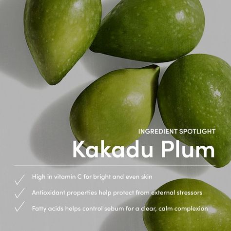 Meet Kakadu plum! Not only is this supercharged skincare ingredient fun to say, but it’s incredibly potent with vitamin C (the highest level of any fruit!). Thanks to its antioxidant capacity, it has made its way from down under and into the clean beauty world—and we don’t see it going home any time soon. Let us introduce you to the latest ‘it’ ingredient and discover how you can harness its brightening powers in your routine based on your skin type! Eco Brand, Botanical Skincare, Kakadu Plum, Worlds Best, Vegan Skincare, Skincare Makeup, Event Poster, Skincare Ingredients, Green Beauty