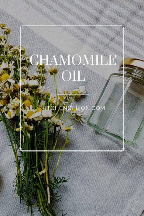 How To Make Chamomile Oil, Chamomile Eye Compress, Chamomile Oil Health Benefits, Herbal Flowers, Herbal Benefits, Spa Vibes, Herbal Oils, Honey Drink, Healing Remedies