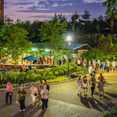 Welcome to Your Free Zoo | Lincoln Park Zoo Lincoln Park Zoo Chicago, Gaboon Viper, Zoo Map, Two Toed Sloth, Western Lowland Gorilla, American Black Bear, Train Adventure, Lincoln Park Zoo, Lake Shore Drive