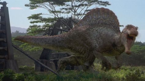 Velociraptor Jurassic Park, Jurassic Movies, Jurassic Park Series, Jurassic Park Film, Jurassic World 2015, Jurassic Park 1993, Jurassic Park Movie, Jurrasic Park, Michael Crichton