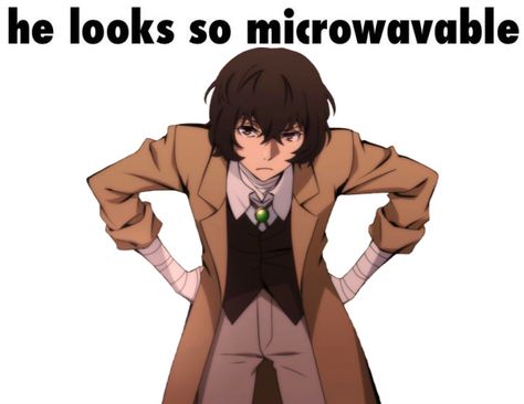 Dazai Osamu Bsd, Dazai Kinnie, Silly Goofy, Dazai Bungou Stray Dogs, Silly Dogs, Dazai Osamu, Im Going Crazy, Bongou Stray Dogs, Stray Dogs Anime