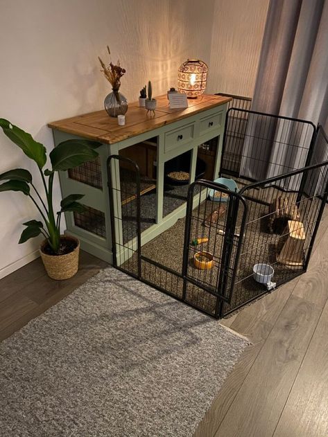 Indoor Bunny House, Diy Bunny Cage, Indoor Rabbit House, Rabbit Hutch Indoor, Indoor Rabbit Cage, Rabbit Enclosure, Rabbit Habitat, Pet Rabbit Care, Puppy Room