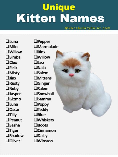 Cute Names For Kittens, Kitten Names Boy, Kitten Names Unique, Aesthetic Cat Names, Cat Symbolism, Sims Names, Unique Cat Names, Names For Boys List, Cute Cat Names