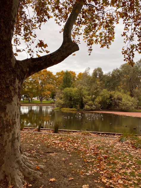 Autumn Park Aesthetic, British Autumn Aesthetic, Hyde Park London Aesthetic, Hyde Park Aesthetic, London Autumn Aesthetic, Autumn In England, Autumn In Europe, British Autumn, Autumn London