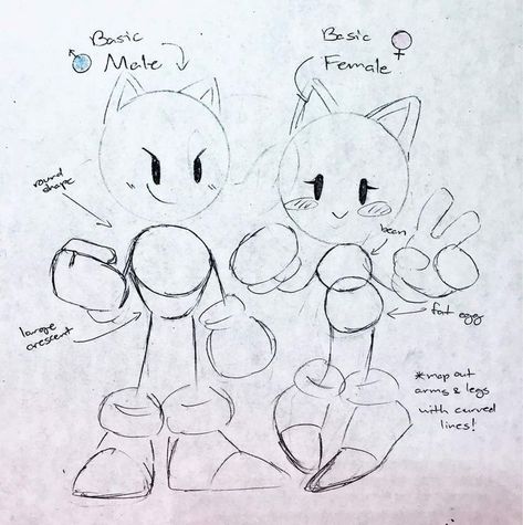 Sonic Characters Tutorial, Sonic Character Anatomy, Sonic The Hedgehog Sketch Art, Sonic The Hedgehog Art Style, Sonic Base Drawing, Sonic The Hedgehog Anatomy, How To Draw Sonic Style, Sonic Anatomy Poses, How To Draw Sonic Body Base